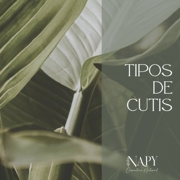 Tipos de cutis — Filosofía Napy